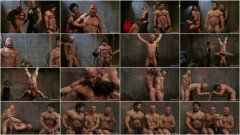 You can't hurt me with that, Sir. Live Shoot | Download from Files Monster