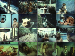 Neurose Sexual 1982's Part 5 | Download from Files Monster