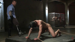 The Dog Catcher | Download from Files Monster