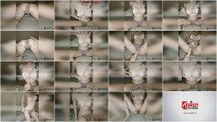 Amateur ASIAN college girl VS homemade FUCK MACHINE | Download from Files Monster