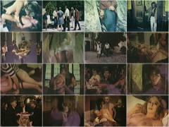 Erotic Flash 1981's Part 4 | Download from Files Monster