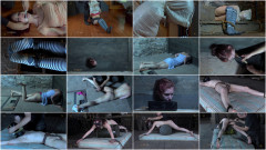 Calico - Shocked | Download from Files Monster