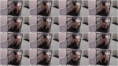 Face Bondage in Cage | Download from Files Monster