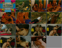 In The Tall Grass | Download from Files Monster