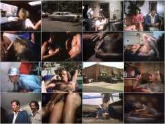 Flash 1981 | Download from Files Monster