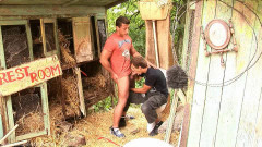 Mating Season Blow Job Orgy - Part 2 - Orgy | Download from Files Monster