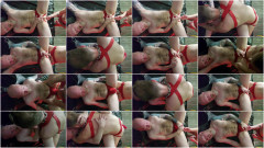 Alastair Noir - Ep. 77 | Download from Files Monster