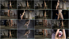 Under Cover Spy Ariel Captured and Interrogated - Part 2 Futilestruggles | Download from Files Monster